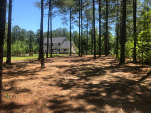 Land Clearing